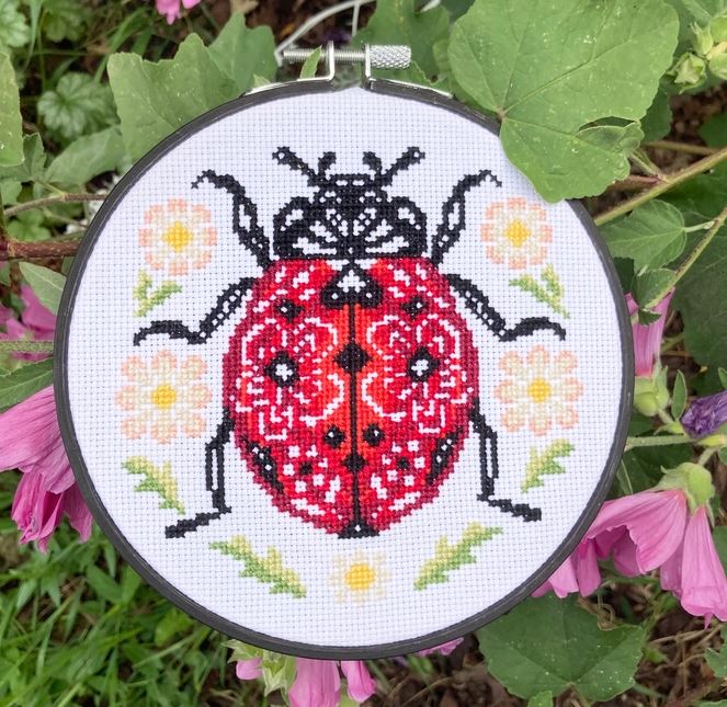 Lil Ladybird Cross Stitch Kit image 0