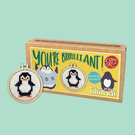 Cross stitch mini kit with penguin design and 'You're Brrrilliant!' text on a light green background.