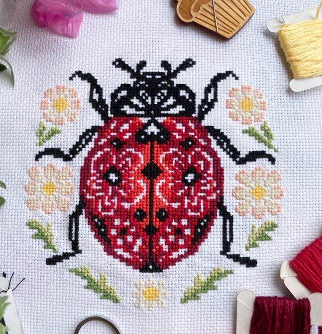 Lil Ladybird Cross Stitch Kit image 1
